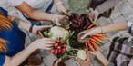 Gemüsekisterl einer solidarischen Landwirtschaft