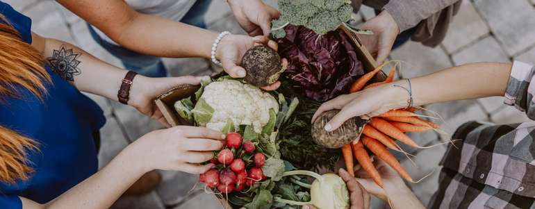 Gemüsekisterl einer solidarischen Landwirtschaft © LFI Österreich / Michael Grössinger Gemüsekisterl einer solidarischen Landwirtschaft © LFI Österreich / Michael Grössinger