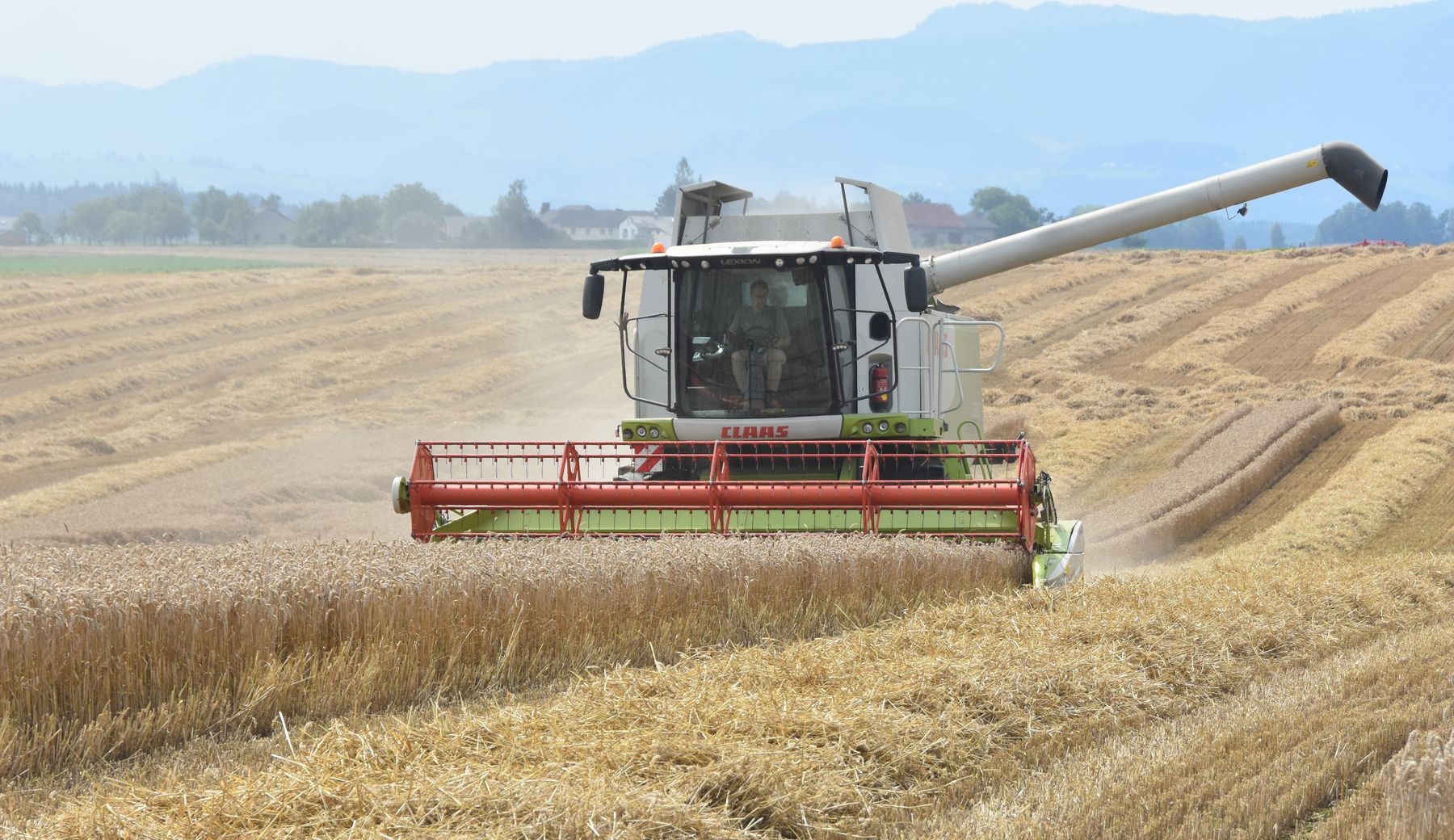 DSC_8532.jpg © Landwirtschaftskammer Oberösterreich/Köppl