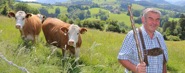 Der 72. NÖ Almwandertag führt am 15. August 2022 in die Gemeinde Ybbsitz.