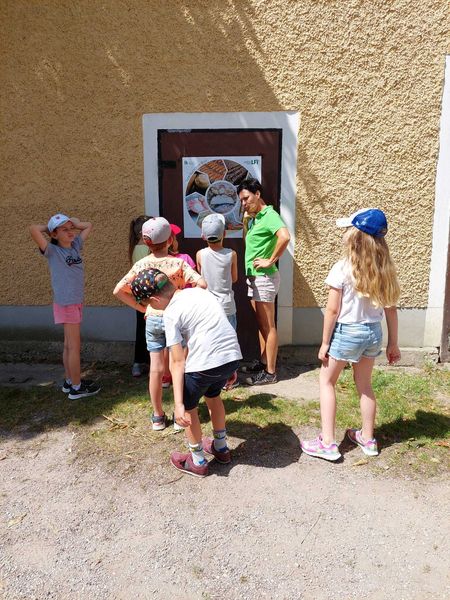 2022 Schulaktion VS Zeiselmauer 2022 Schulaktion VS Zeiselmauer