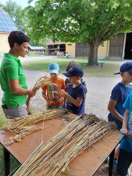 2022 Schulaktion VS Zeiselmauer 2022 Schulaktion VS Zeiselmauer