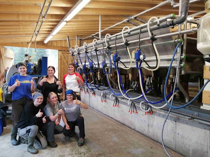 Melkkurs Bruck.jpg © Mooslechner Melkkurs Bruck.jpg © Mooslechner