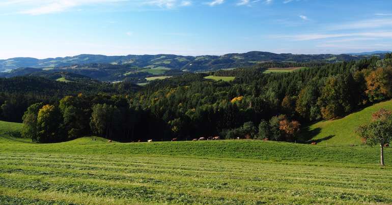 Agrarische Landschaft Agrarische Landschaft