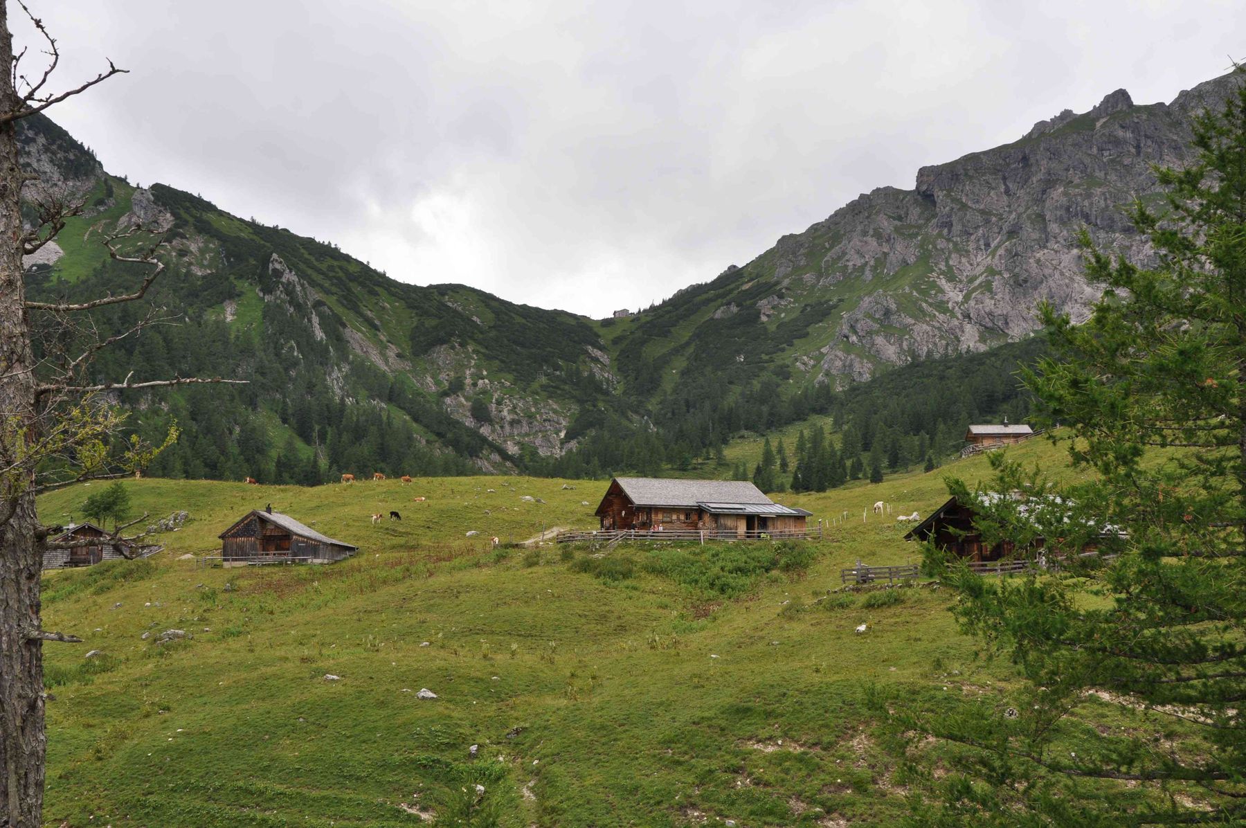 jochalm7.jpg © Mooslechner jochalm7.jpg © Mooslechner