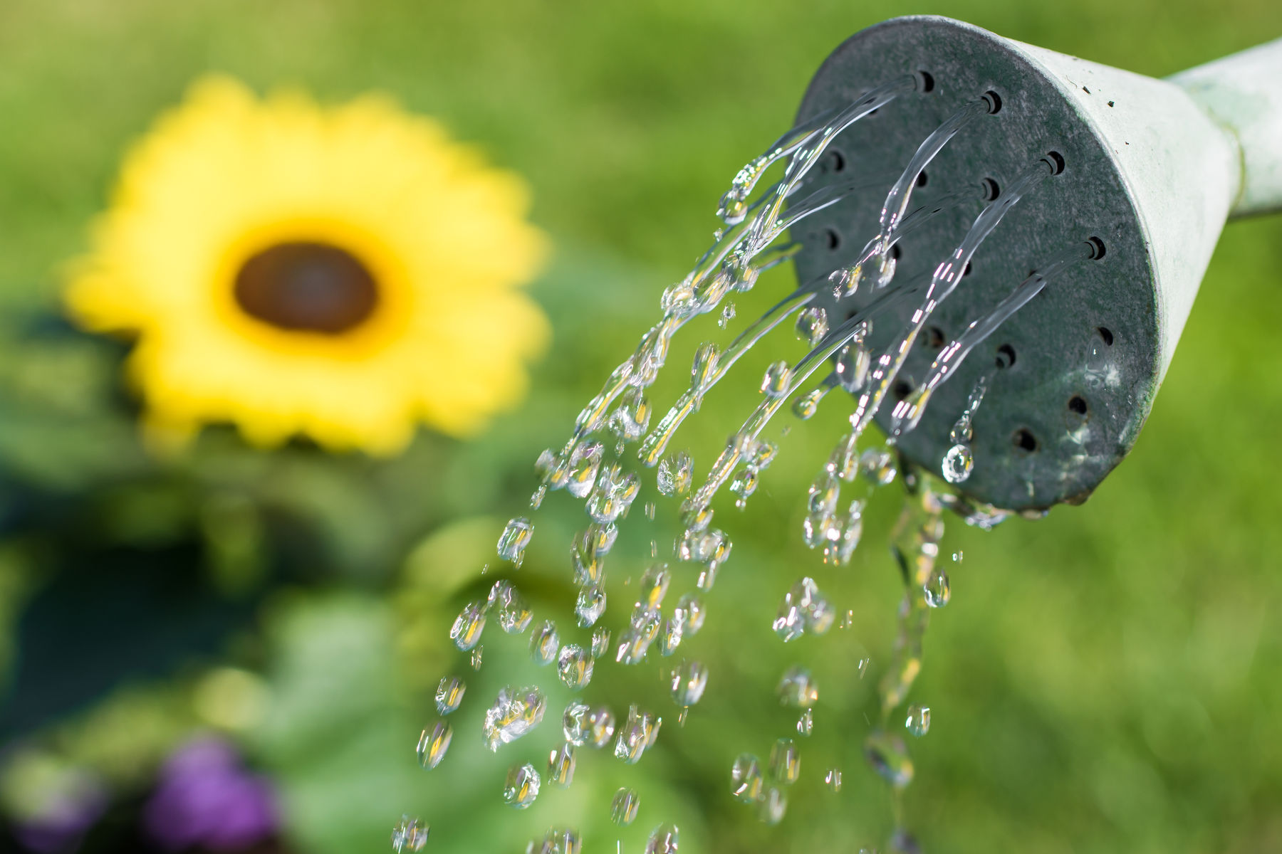 adobestock_115393465.jpg © AdobeStock adobestock_115393465.jpg © AdobeStock