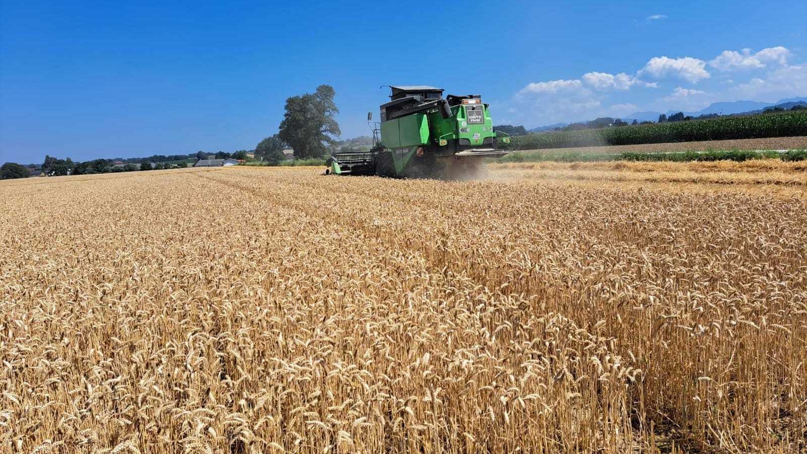 Versuchsernte am Lysimeterstandort Pettenbach, 25. Juli 2022 Versuchsernte am Lysimeterstandort Pettenbach, 25. Juli 2022