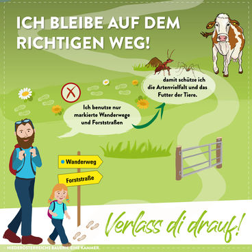 Tipps für das richtige Verhalten auf der Alm © Marlene Weitzenböck/LK Niederösterreich Tipps für das richtige Verhalten auf der Alm © Marlene Weitzenböck/LK Niederösterreich