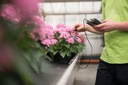 Gartenbau BLFA.jpg © BLFA Gartenbau BLFA.jpg © BLFA