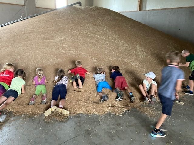 IMG 1655.jpg IMG 1655.jpg