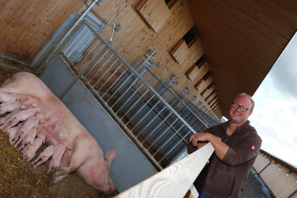 © Paula Pöchlauer-Kozel/LK Niederösterreich © Paula Pöchlauer-Kozel/LK Niederösterreich