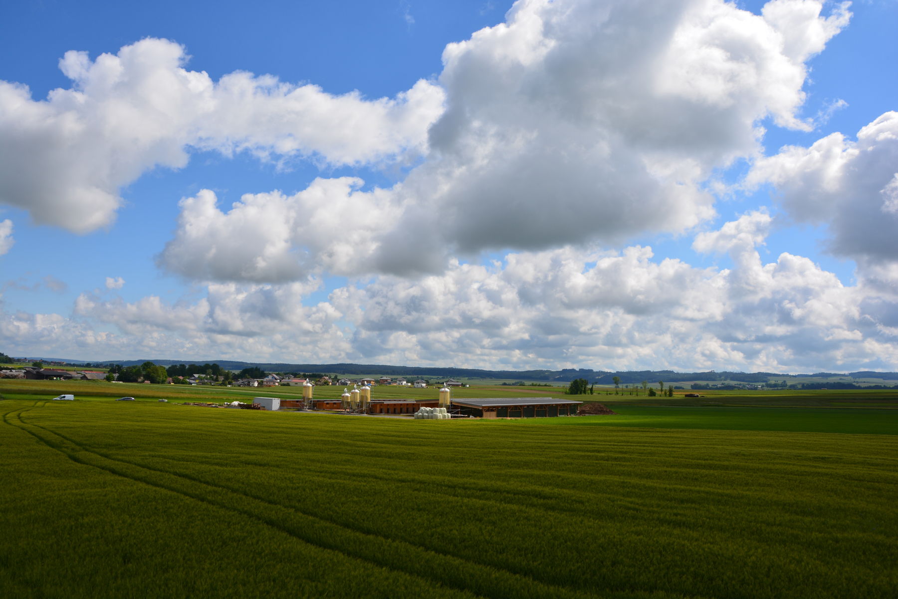 © Paula Pöchlauer-Kozel/LK Niederösterreich