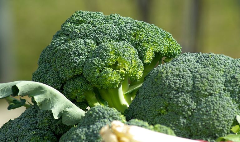 vegetables-g535a433c7_1920.jpg © lid vegetables-g535a433c7_1920.jpg © lid