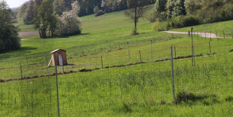 Um im Sommer die Tiere mit Gras versorgen zu können, installierten die Grubers eine Bewässerungsanlage. Dafür wurde ein Brunnen gebohrt der die Bewässerung mit Wasser versorgt. Um im Sommer die Tiere mit Gras versorgen zu können, installierten die Grubers eine Bewässerungsanlage. Dafür wurde ein Brunnen gebohrt der die Bewässerung mit Wasser versorgt.