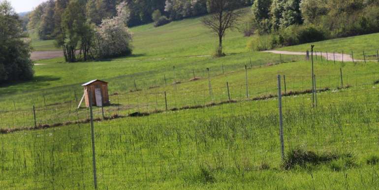 Um im Sommer die Tiere mit Gras versorgen zu können, installierten die Grubers eine Bewässerungsanlage. Dafür wurde ein Brunnen gebohrt der die Bewässerung mit Wasser versorgt.