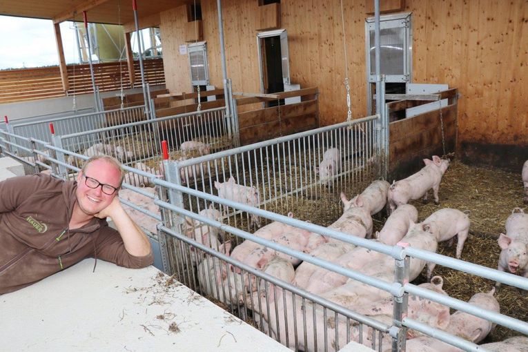 Manuel Hauer setzt in seinem Schweinestall auf Holz und vieles mehr.