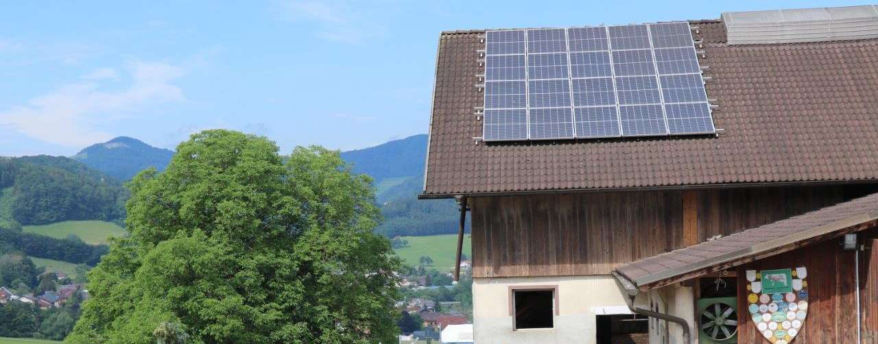 Für einen hohen Wirkungsgrad einer Photovoltaikanlage spielen unter anderem Verschattung, Hitze, Ammoniak- und Staubbelastung durch die Stallabluft und vieles mehr eine Rolle. © Paula Pöchlauer-Kozel/LK Niederösterreich Für einen hohen Wirkungsgrad einer Photovoltaikanlage spielen unter anderem Verschattung, Hitze, Ammoniak- und Staubbelastung durch die Stallabluft und vieles mehr eine Rolle. © Paula Pöchlauer-Kozel/LK Niederösterreich