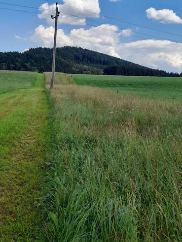 06.07.22_Bauernhofspaziergang Badinger (C) LK Oberlechner (6).jpg © Oberlechner