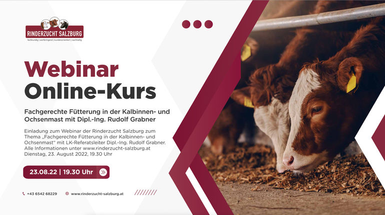 Projekt  Salzburger Almrind  steht in  den Startlöchern.jpg © RZV Salzburg Projekt  Salzburger Almrind  steht in  den Startlöchern.jpg © RZV Salzburg