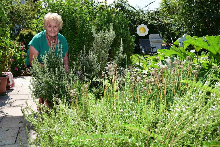 Naturgarten.jpg © Standl Naturgarten.jpg © Standl