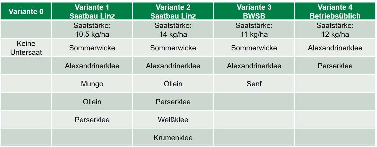 Tabelle Varianten Rapsbegleitsaat Fazit Ernte 2022.jpg