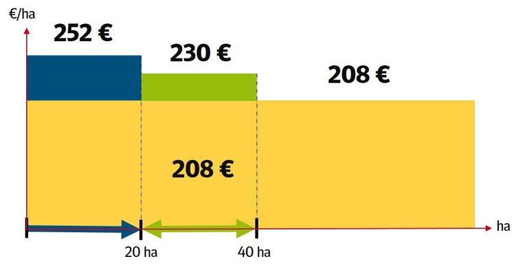 GAP neu: Darstellung der Basiszahlung mit Umverteilungszahlung © LK Niederösterreich GAP neu: Darstellung der Basiszahlung mit Umverteilungszahlung © LK Niederösterreich