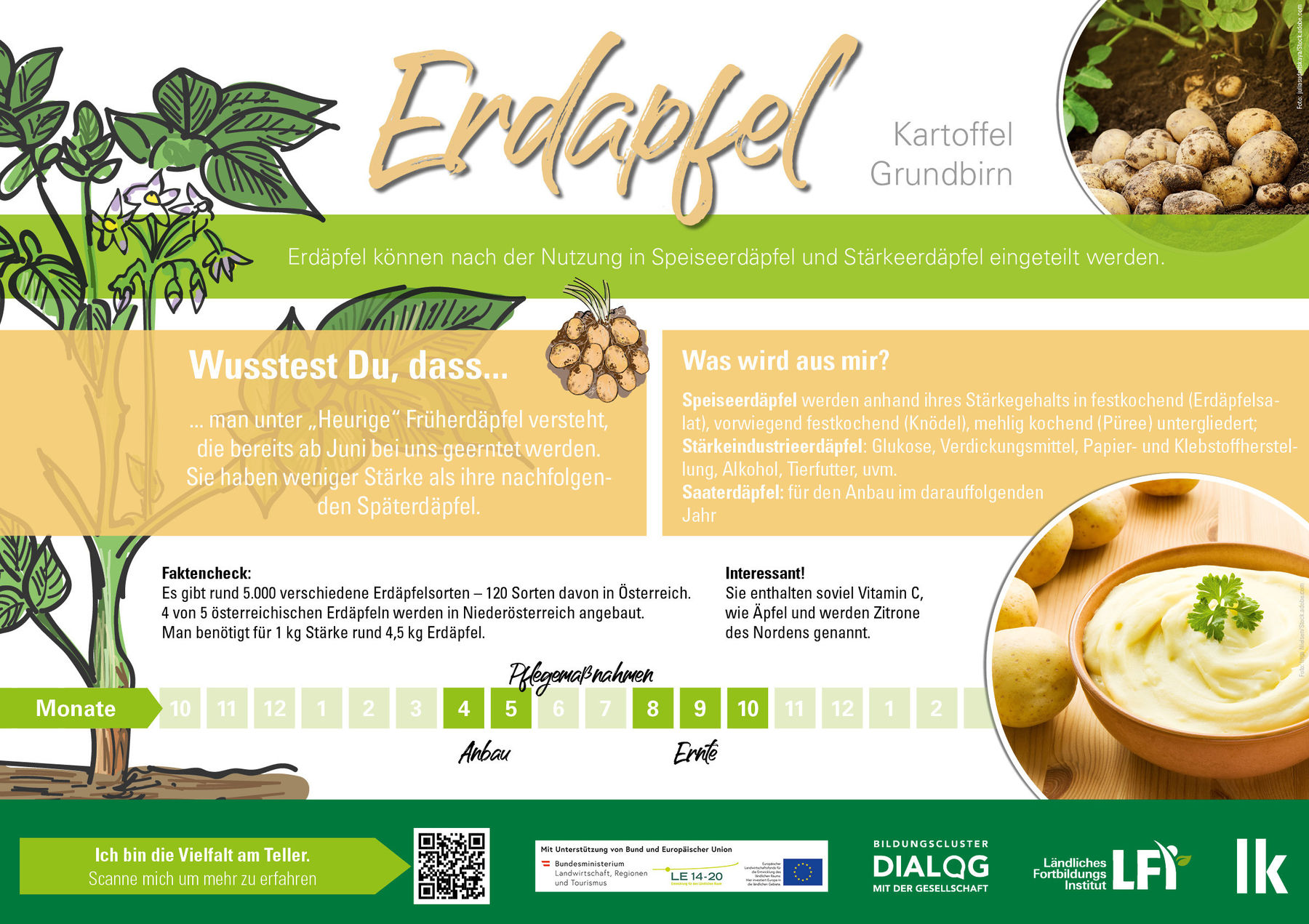 Erdapfel_Feldtafel.jpg © LK Niederösterreich Erdapfel_Feldtafel.jpg © LK Niederösterreich
