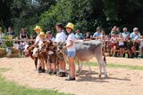 © Paula Pöchlauer-Kozel/LK Niederösterreich