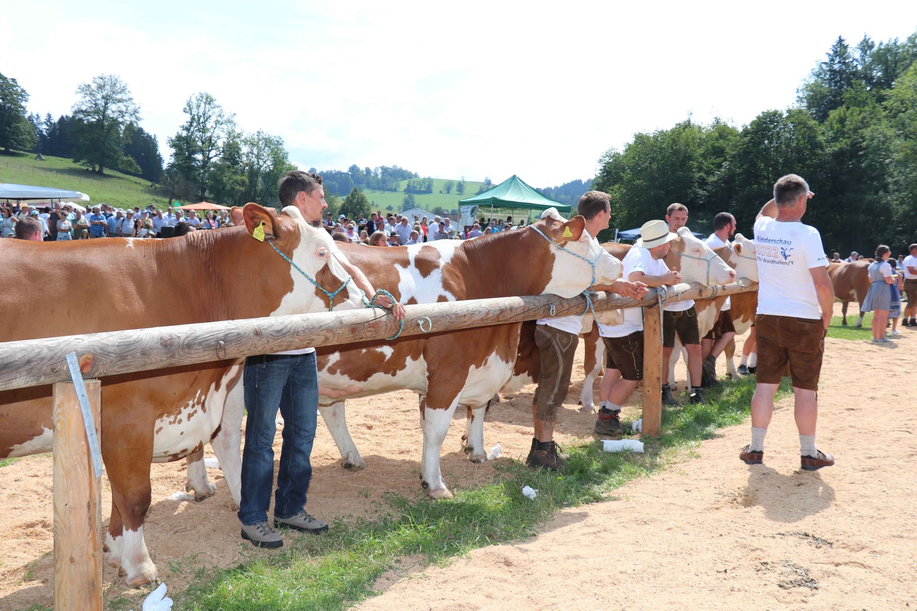© Paula Pöchlauer-Kozel/LK Niederösterreich © Paula Pöchlauer-Kozel/LK Niederösterreich