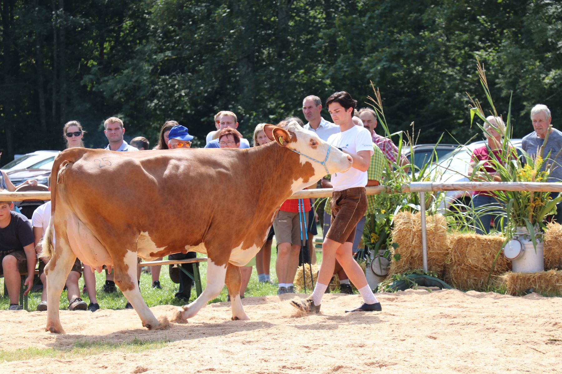 © Paula Pöchlauer-Kozel/LK Niederösterreich © Paula Pöchlauer-Kozel/LK Niederösterreich