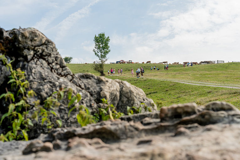 Das war der 72. NÖ Almwandertag auf der Schwarzbachweide in Ybbsitz © Georg Pomaßl/LK Niederösterreich