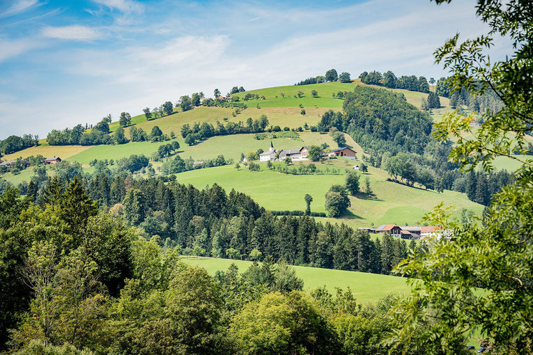 Das war der 72. NÖ Almwandertag auf der Schwarzbachweide in Ybbsitz © Georg Pomaßl/LK Niederösterreich