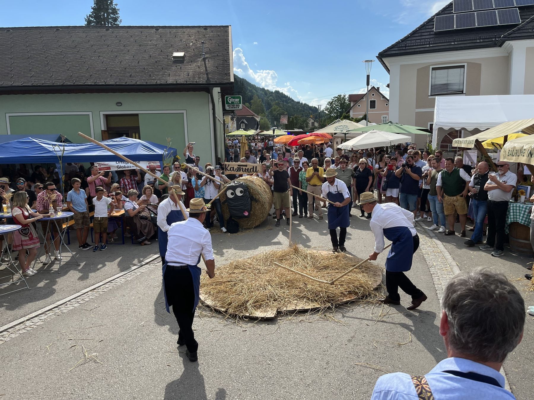 © LK Kärnten/Gerhard Frießnegger © LK Kärnten/Gerhard Frießnegger