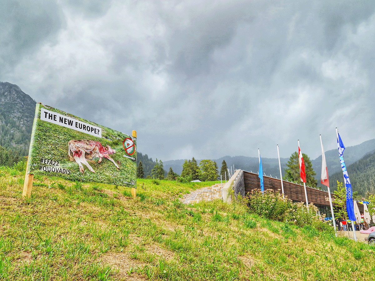 Titelbild KW34 Transparent Alpbach Wolf┬®AlmohneWolf.png