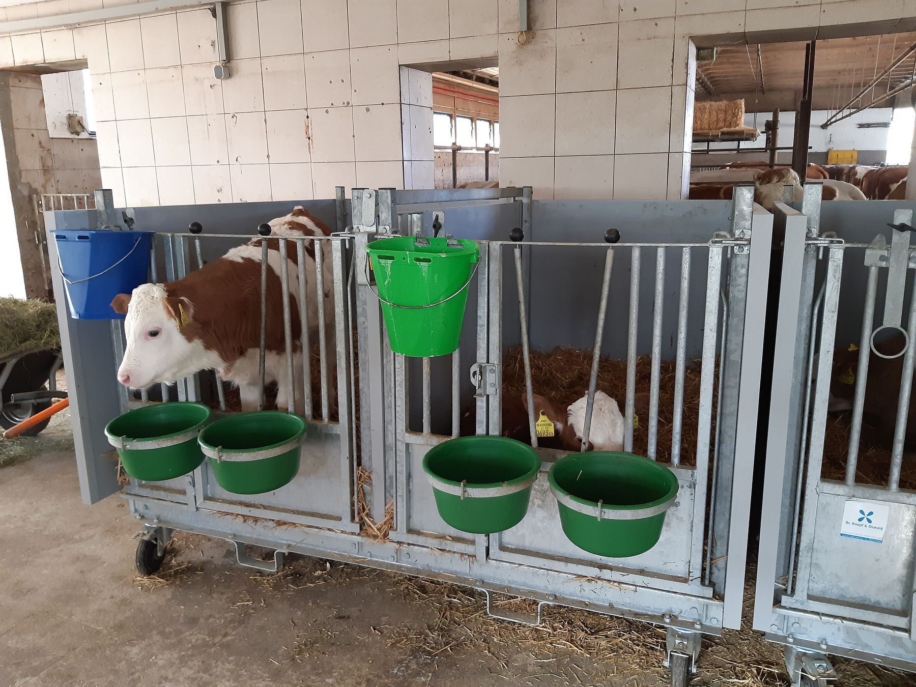 Doppelbox mit herausnehmbarer Zwischenbox.jpg © Arbeitskreis Milchproduktion Doppelbox mit herausnehmbarer Zwischenbox.jpg © Arbeitskreis Milchproduktion