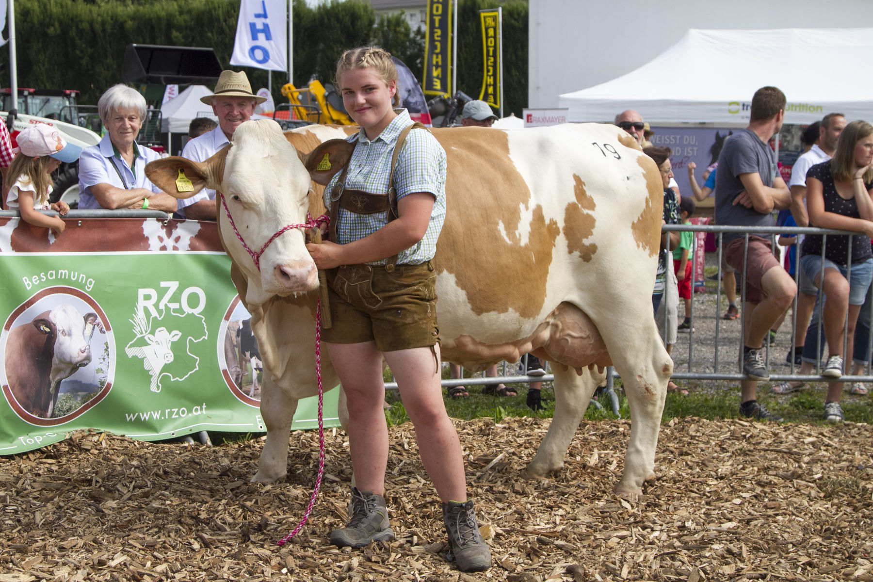 PA Bundes-Fleckviehschau 2022_Leitartikel_Titelbild_BIRKE_Vulkan_Traxler_Freistadt_RZO Freistadt.jpg © RZO PA Bundes-Fleckviehschau 2022_Leitartikel_Titelbild_BIRKE_Vulkan_Traxler_Freistadt_RZO Freistadt.jpg © RZO