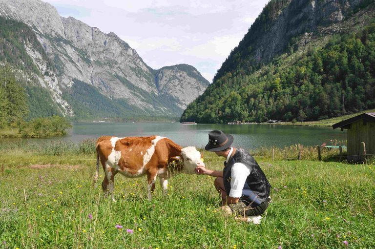 mooskaser3.jpg © Mooslechner mooskaser3.jpg © Mooslechner