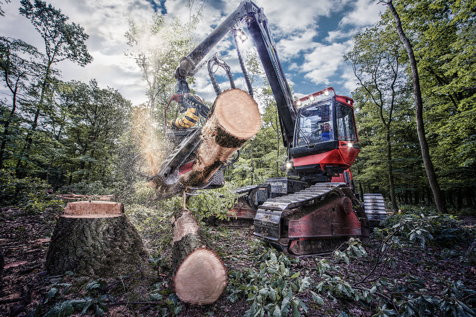 Waldarbeit - Erntemaschinen im Einsatz © Andreas Tischler