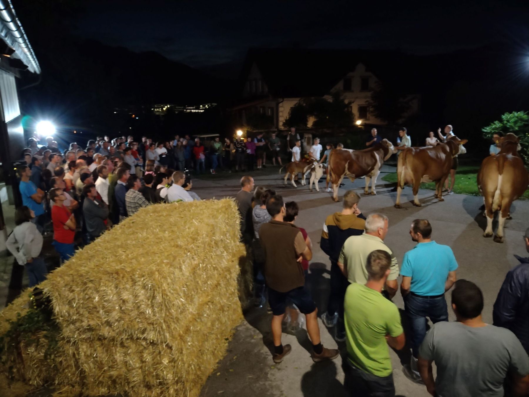 Foto 5_BBK.jpg © BBK Scheibbs/Julia Pflügl Foto 5_BBK.jpg © BBK Scheibbs/Julia Pflügl