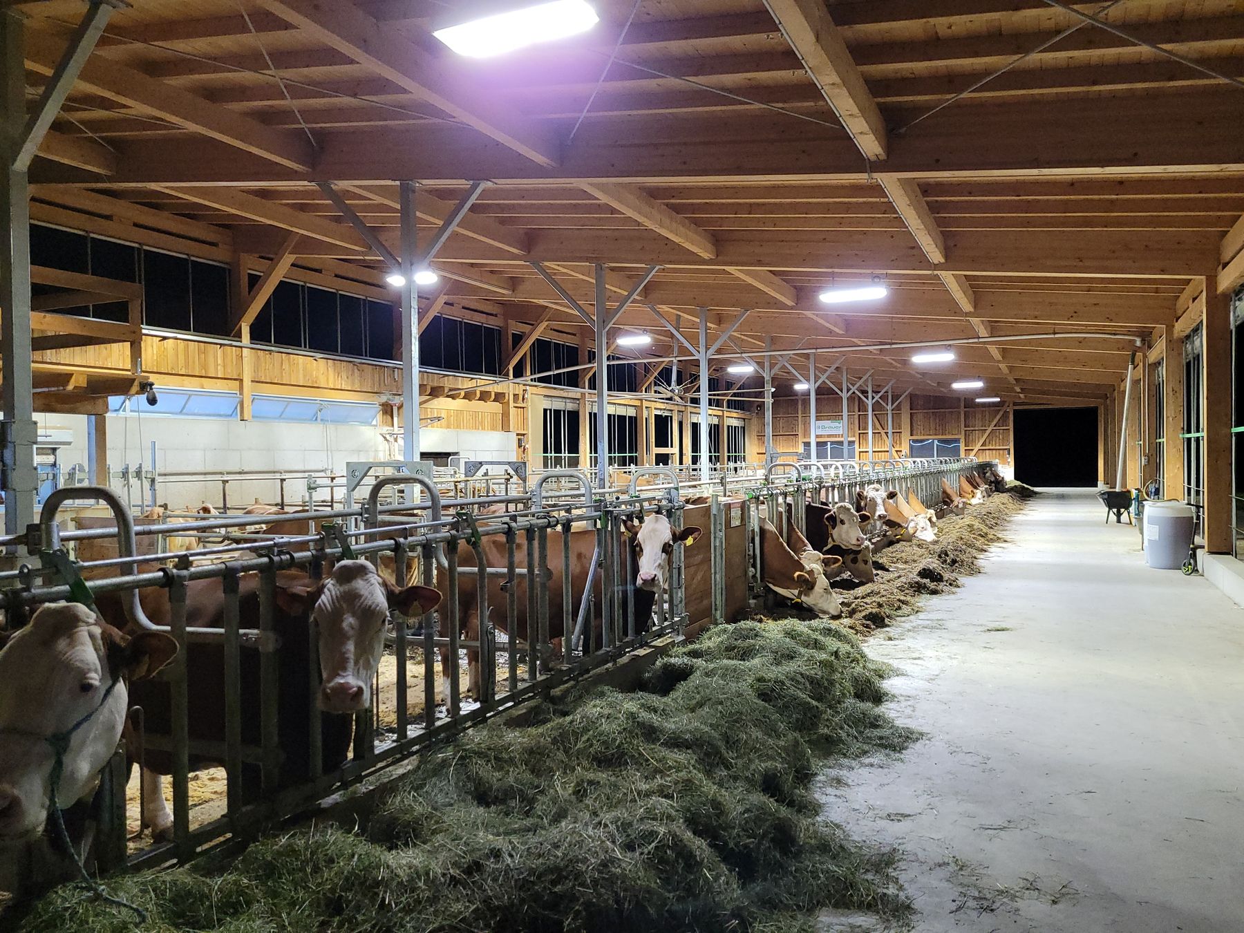 Stallabend_RZV_Ötscherland_214856_(c)BBK Scheibbs.jpg © BBK Scheibbs Stallabend_RZV_Ötscherland_214856_(c)BBK Scheibbs.jpg © BBK Scheibbs