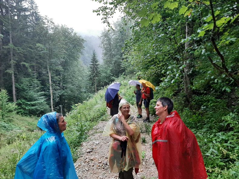 WhatsApp Image 2022-08-22 at 18.05.18.jpg WhatsApp Image 2022-08-22 at 18.05.18.jpg