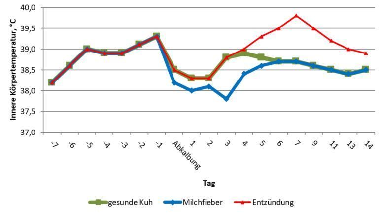 Temperaturkurve vor und nach der Abkalbung