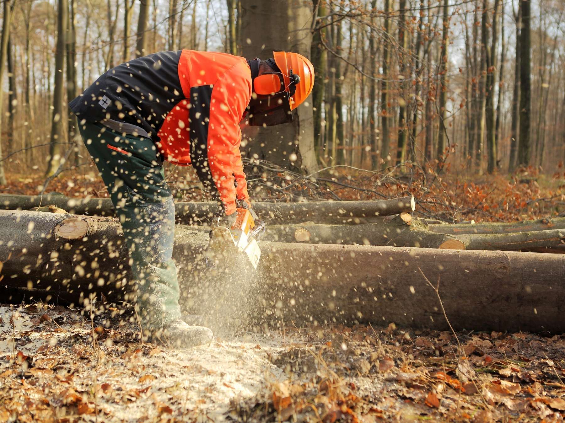 Waldarbeit.jpg © stock.adobe.com Waldarbeit.jpg © stock.adobe.com