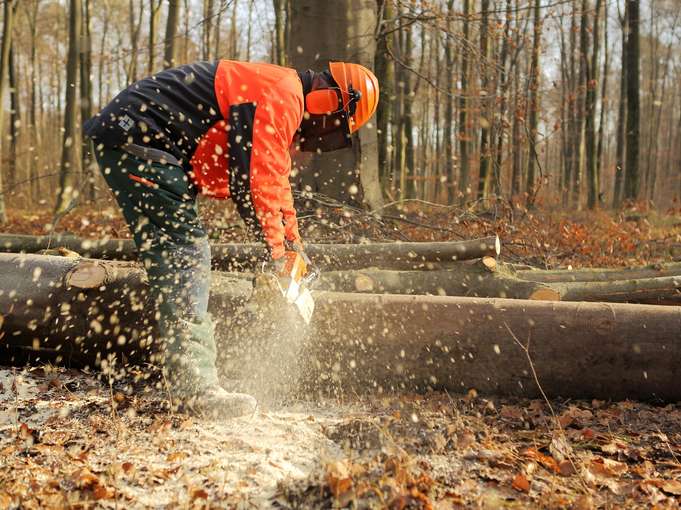 Waldarbeit.jpg © stock.adobe.com Waldarbeit.jpg © stock.adobe.com