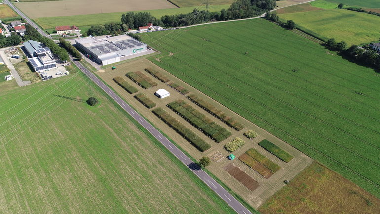 Bild1 DJI 0048 Schaufeld Maisfeldtag Schönering 2022.jpg Bild1 DJI 0048 Schaufeld Maisfeldtag Schönering 2022.jpg