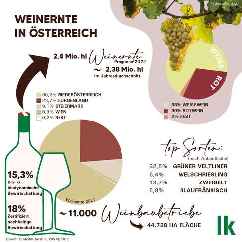 Fakten zur Weinernte in Österreich.