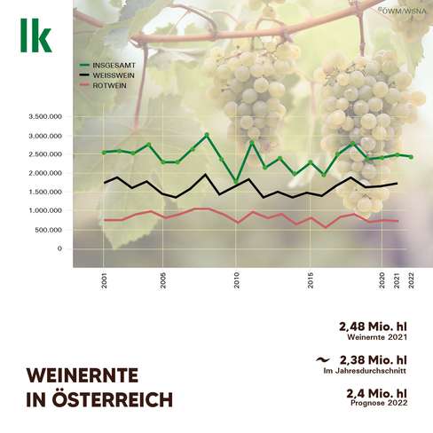 Weinernte in Österreich