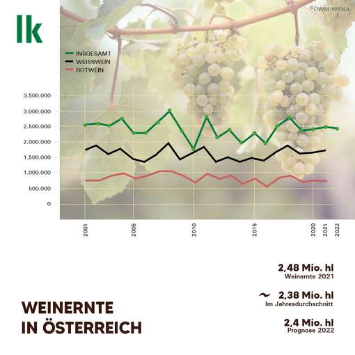 Weinernte in Österreich © LKÖ/Erhardt