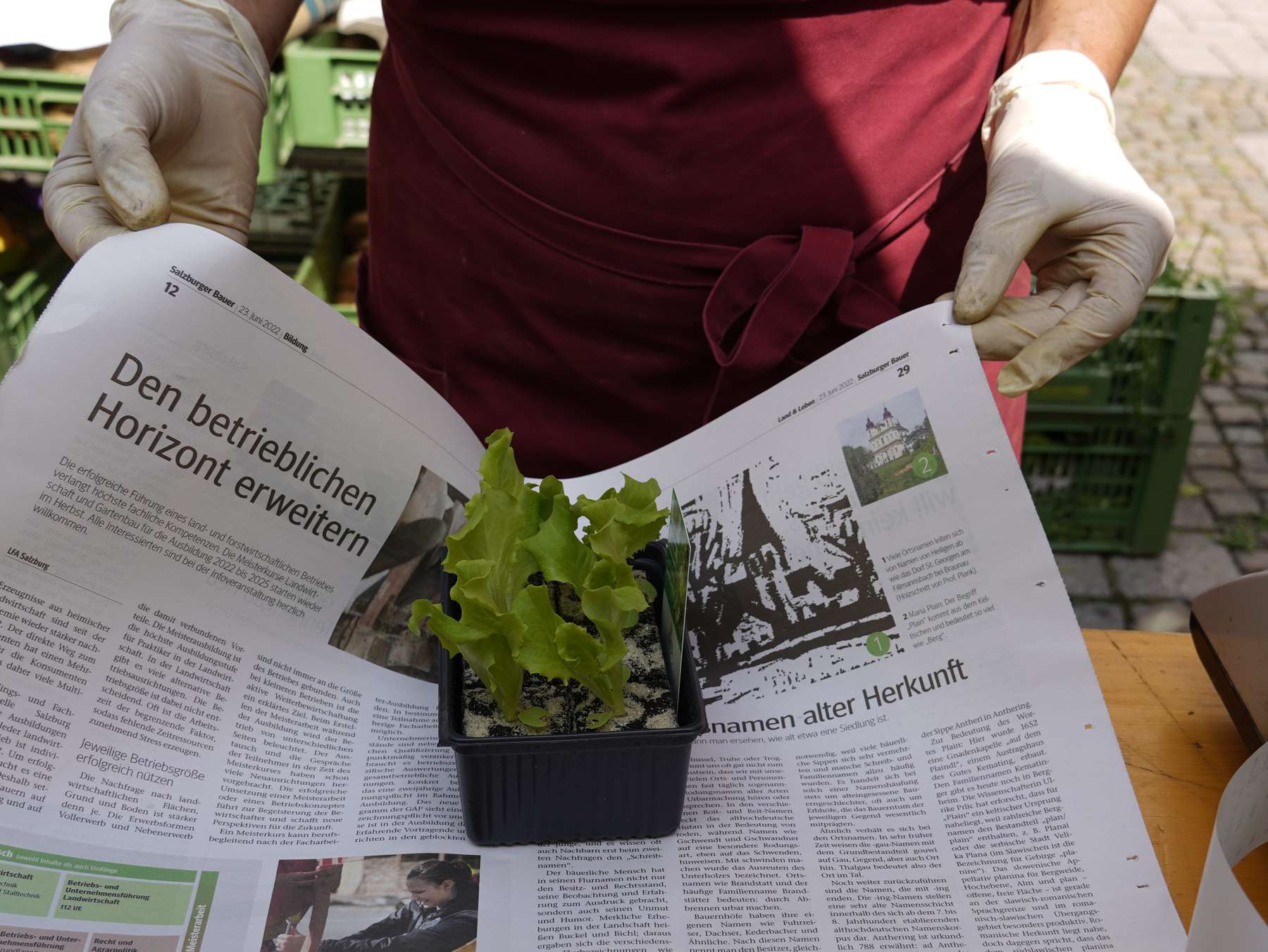 sb36_mt_zeitung.jpg © Dürnberger sb36_mt_zeitung.jpg © Dürnberger
