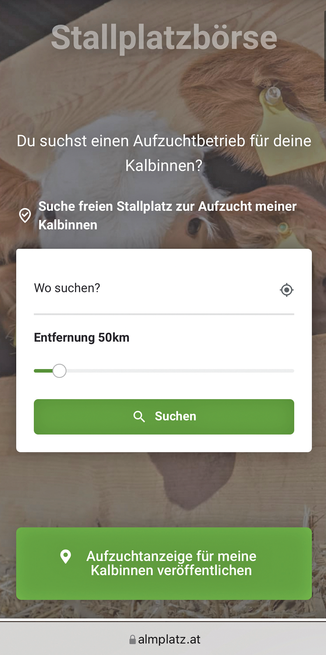 Kalbinnen suchen Stallplatz.png